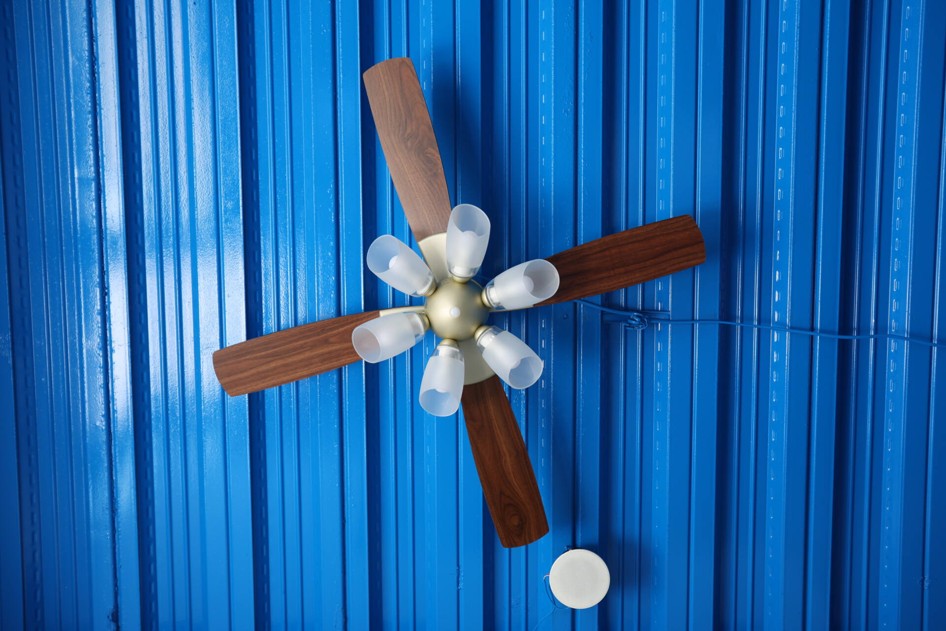 フォトギャラリー